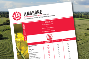 A thumbnail of the Amarone Technical Data Summary