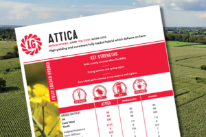 A thumbnail of the Attica Technical Summary Data Sheet