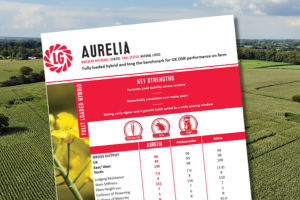A thumbnail of the Aurelia Winter