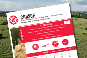 A thumbnail of the Crusoe Technical Data Summary