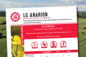 A thumbnail of the Technical Data Sheet for LG Anarion