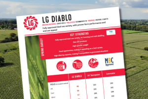 A thumbnail of the LG Diablo Technical Data Sheet