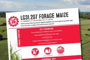 A thumbnail of the LG31.207 Forage Maize Technical Data Sheet