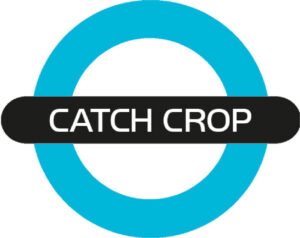 Catch Crop Logo