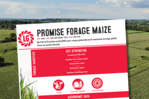 A thumbnail of the Promise Forage Maize Technical Data Sheet