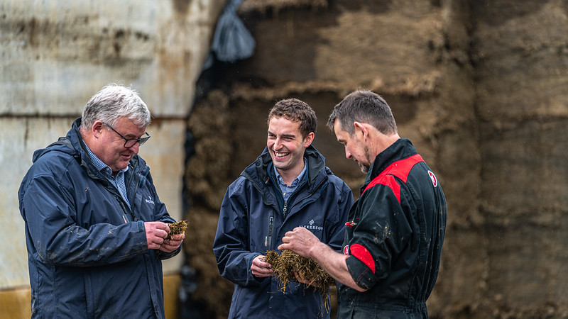 David Grant and a farmer gather in a semi circle in the silage clamp to examine handfuls of silage. Grant looks at David and is giggling