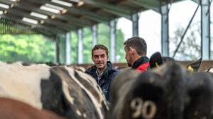 Grant connor in centre of image talks to farmer in cattle shed with cows ears and rears in foreground