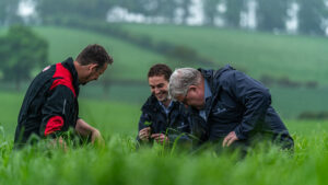 2 seed specialists crouch in grass pasture with a farmer, seed specialist in centre holds clover stem and smiles