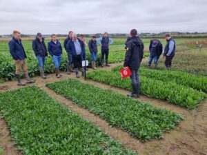 Nickerson team of Seed Specialists receiving a technical briefing on forage crops from Limagrain Field Seeds Product Manager, John Spence in the trial plots at North Clifton, Lincolnshire