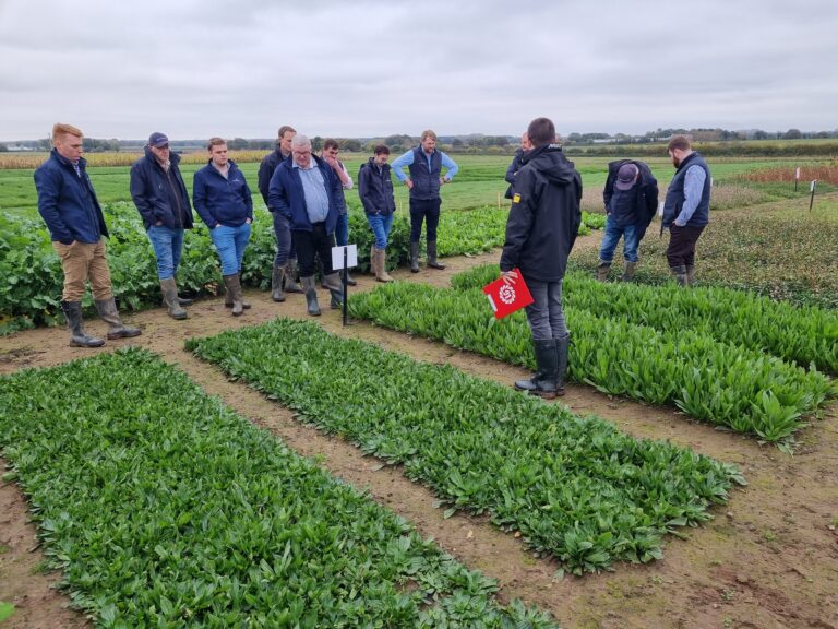 Nickerson team of Seed Specialists receiving a technical briefing on forage crops from Limagrain Field Seeds Product Manager, John Spence in the trial plots at North Clifton, Lincolnshire