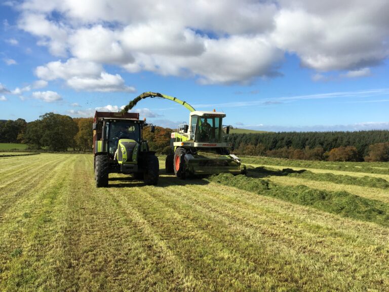 A red circle perennial rye grass tractor.